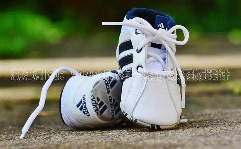 Z6·尊龙(官方认证)网站